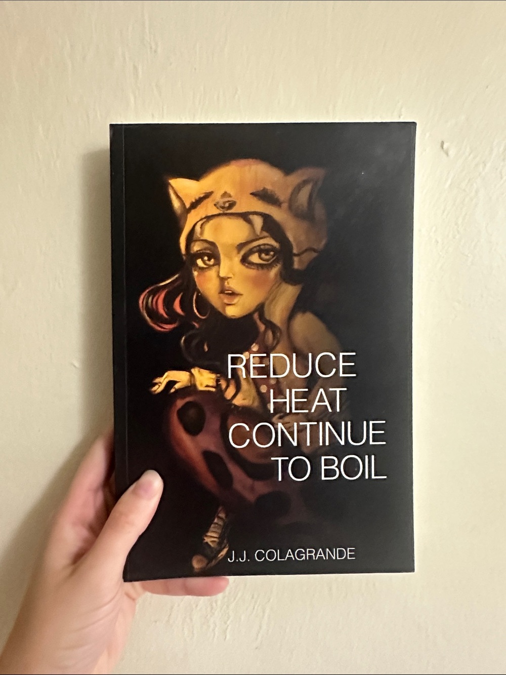 Reduce Heat Continue to Boil — Black Cover by